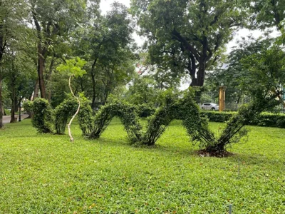 Eco nest – Photos 15